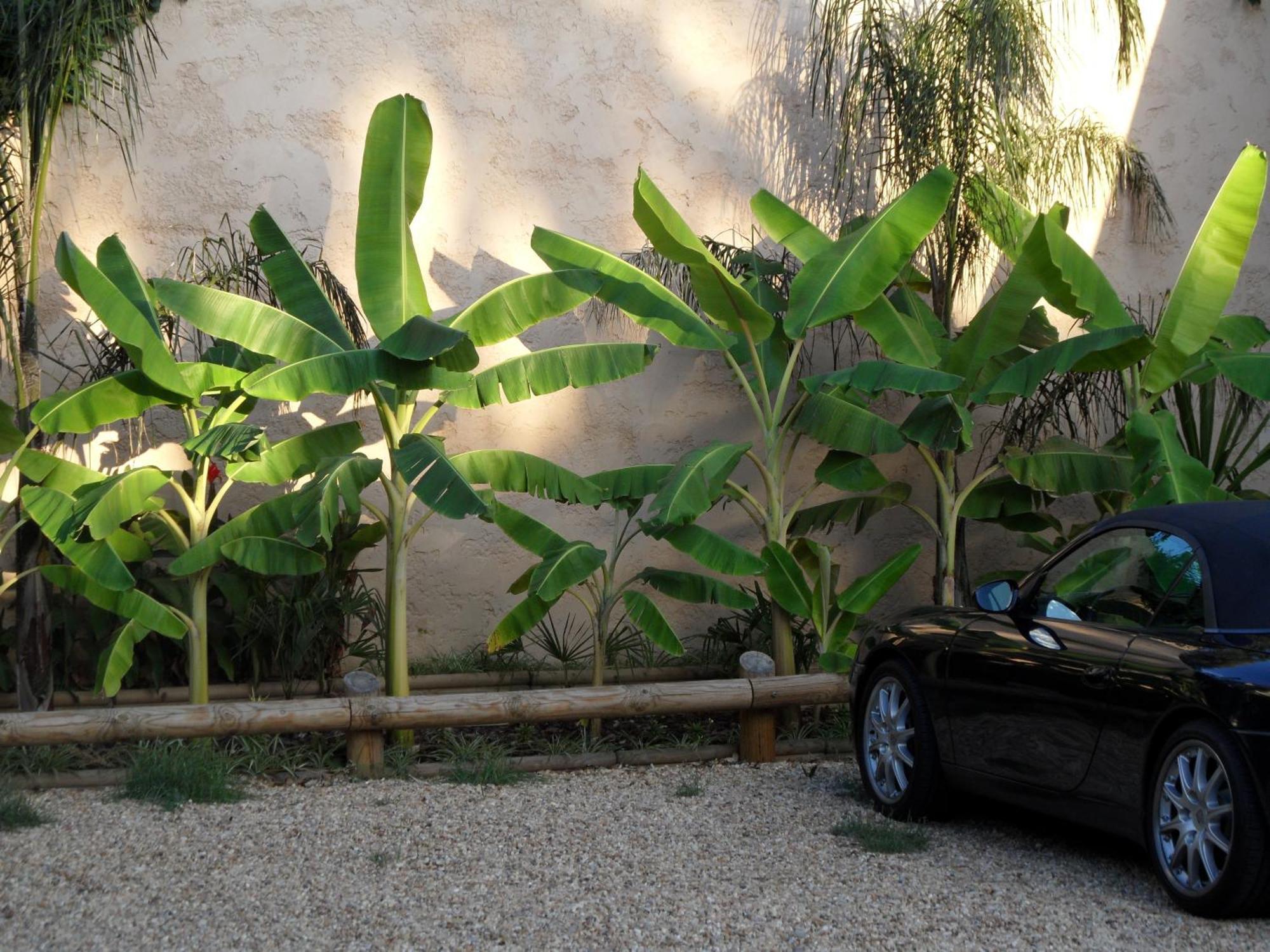 Residence Veles Plage Cannes Extérieur photo